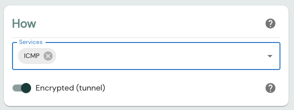 The How section of the policy editor with the Encrypted (tunnel) toggle enabled